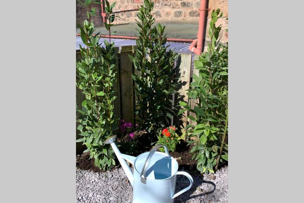 The Nook - A Stylish Apartment With Garden, Near The Beach Berwick Upon Tweed Екстер'єр фото